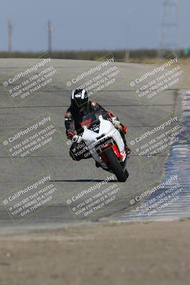 media/Oct-29-2023-Carters at The Track (Sun) [[b2bb4383ab]]/B Plus/120pm (Outside Grapevine)/